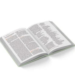 Scandinavia Bibelen på Hverdagsdansk 2024, TREND, grå* Bibelen På Hverdagsdansk|Bibelen