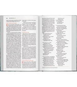 Scandinavia Bibelen på Hverdagsdansk. Hardback, Torne* Bibelen På Hverdagsdansk|Bibelen