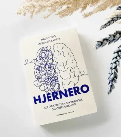 Andre HjerneRo af Martin Riis Kastrup og Mads Hyldig* Psykologi Og Sjælesorg|Bøger Om Livet