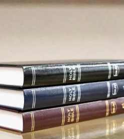 Andre Holy Bible, New King James Version, Burgundy* Bibelen På Engelsk|Bibelen