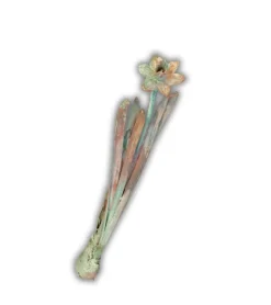 ARTbyKobber Té a Té med løg,* Gave-ideer|Kirkegården